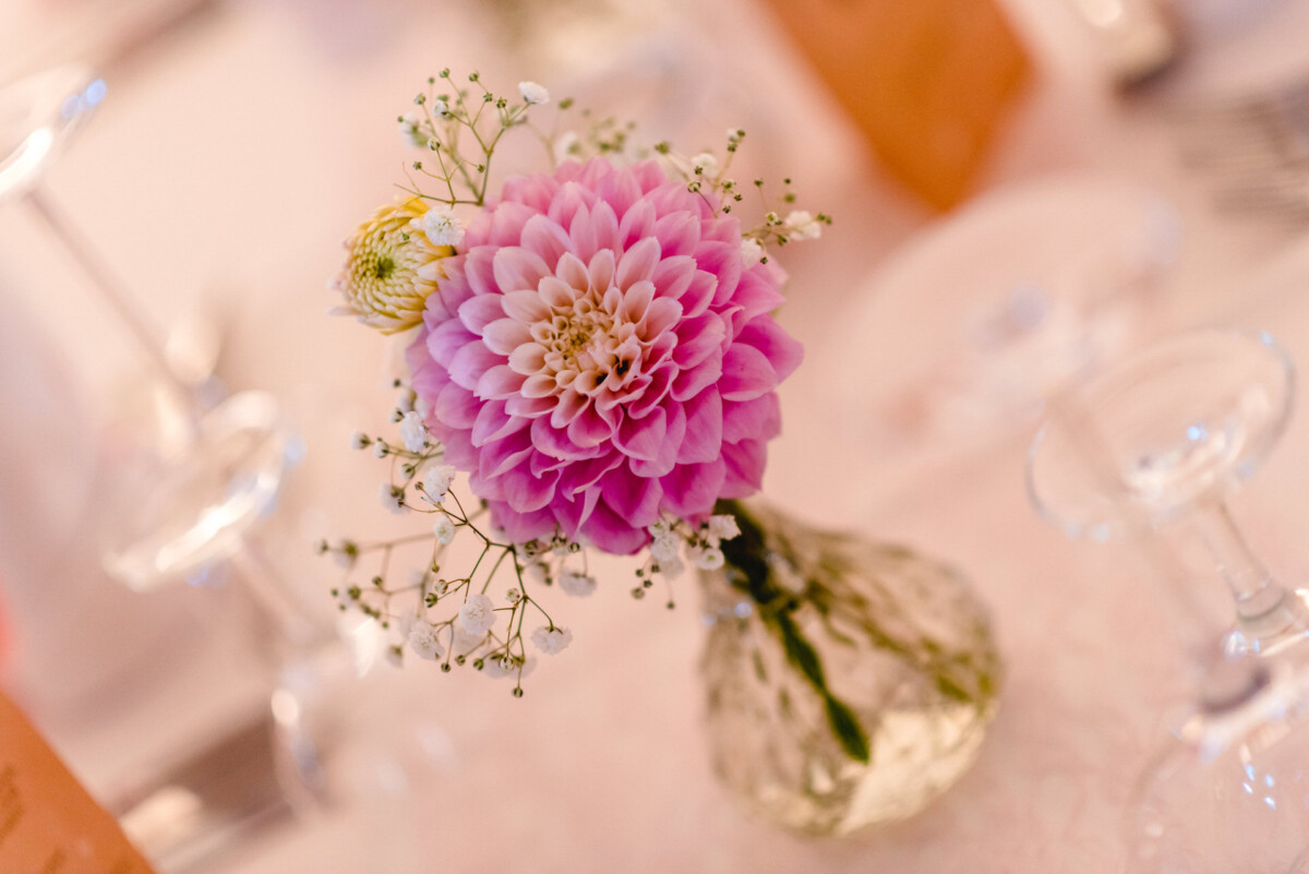 Natalie_Willi_Sulzemoos_00027 eine rosa Blume in einer durchsichtigen Vase auf einem Tisch.