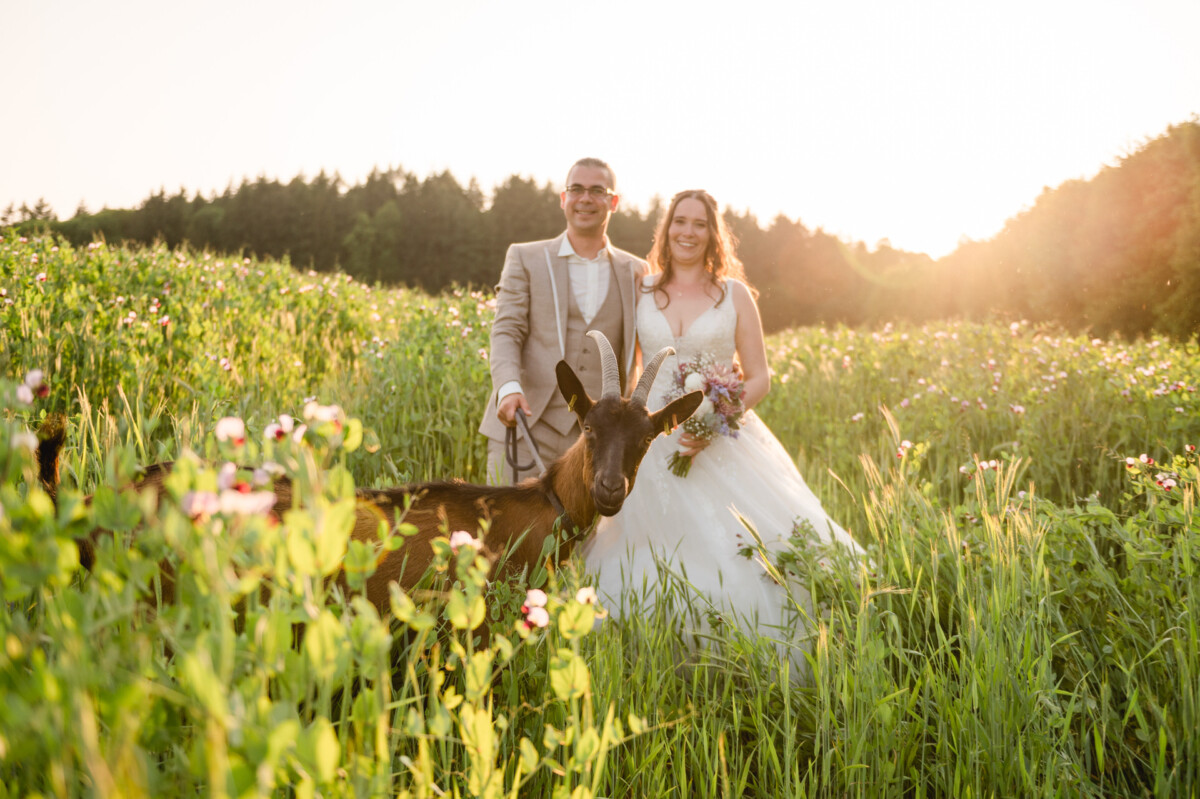 2023.05.28_Jerome_Stefanie_Hochzeit_Schloss_Blumenthal_Aichach_01171 Braut und Bräutigam stehen mit einer Ziege auf einer sonnigen Wiese, umgeben von hohem Gras und Wildblumen.