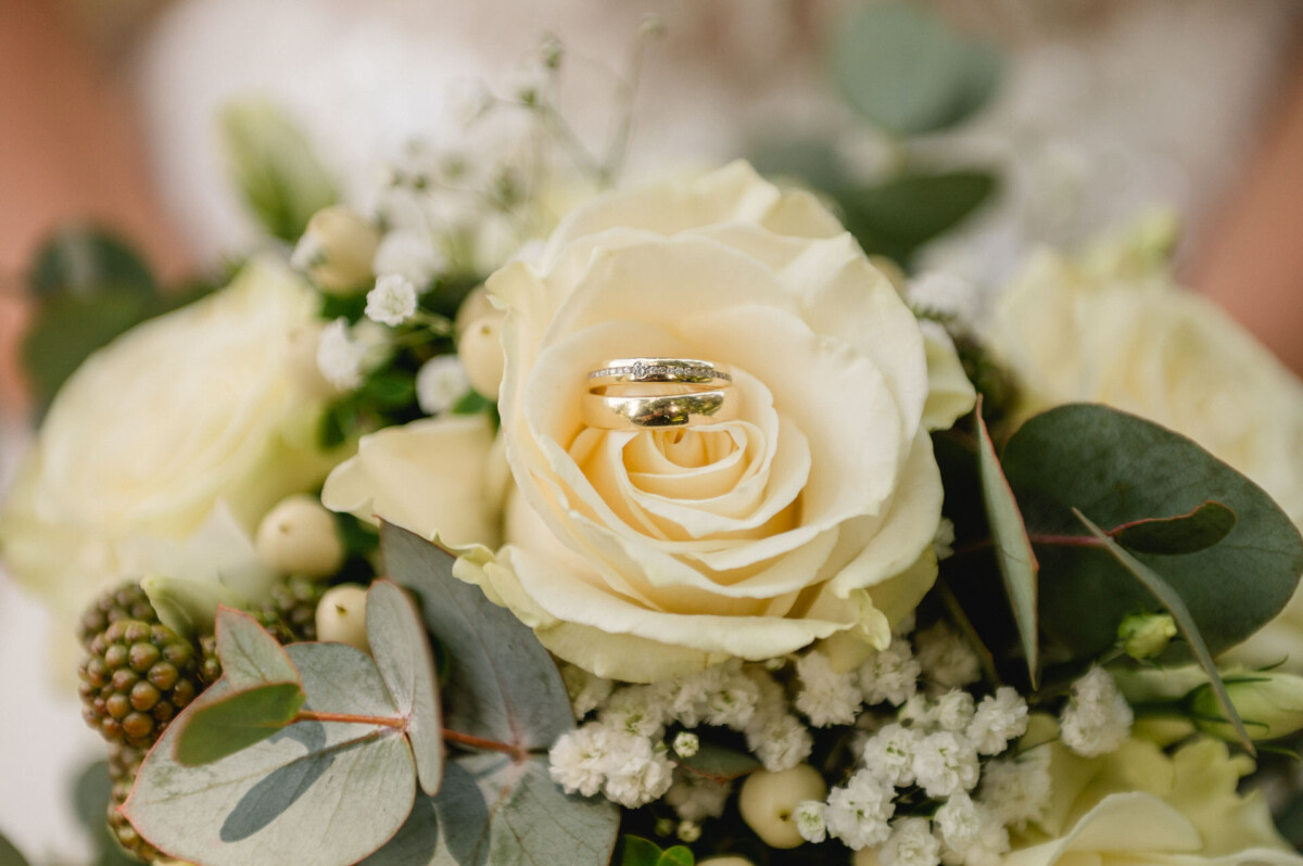Eheringe auf einer cremefarbenen Rose, umgeben von Grün und kleinen weißen Blüten.